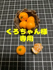 くろちゃん様専用ページ