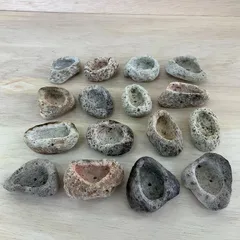 アイテラスの軽石鉢 16点セット｜軽量＆通気性抜群｜観葉植物や多肉植物に最適【m030504】