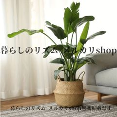 直接引き取り限定・埼玉】IKEA フェイクグリーン ゴクラクチョウカ