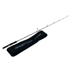 DAIWA SALTIGA BAY JIGGING 65XHB - メルカリ