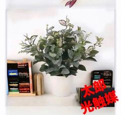 光触媒 人工観葉植物 ウォールグリーン フェイクグリーン ベンジャミン