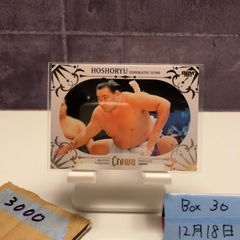 Item thumbnail for item 5dcdbcb0-6c9d-44d4-ae2e-19d718a06286