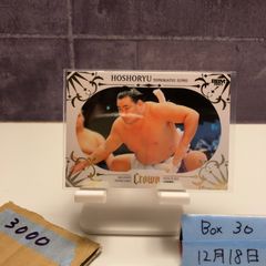 Item thumbnail for item 0f49b60f-8c8a-423b-ad3e-7f8fc4c73475