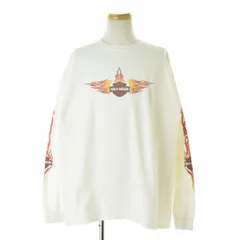 【HARLEYDAVIDSON】フレイムスリーブ ファイヤーパターン長袖Tシャツ