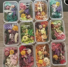 ドライフラワー　ボタニカルキャンドル用　たっぷりお得ミックス　アソート　ランダム　　初心者向け