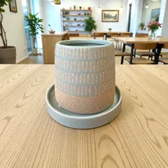 植木鉢 花器 陶器 ベージュ グリーン 底穴あり 受け皿付き 外寸10cm 高さ11.5cm 塊根植物 多肉植物 観葉植物