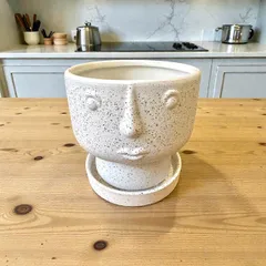 植木鉢 花器 陶器 白色 底穴あり 受け皿付き 外寸10cm 高さ10cm 塊根植物 多肉植物 観葉植物