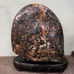 ⭐︎ 鑑賞石 菊花石 母岩 観賞用 天然石 土台付 52.5kg