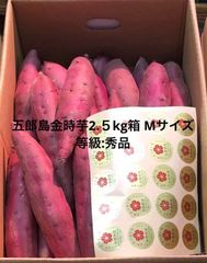 5kg沖縄県産 摘果マンゴー(お漬物用）60g～日々肥大 青マンゴー - メルカリ
