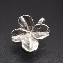 Item thumbnail for item 5d00a836-98bb-45bd-a1db-af68c60dbf66