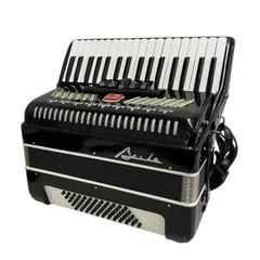 2026年最新】アコーディオンの人気アイテム - メルカリ