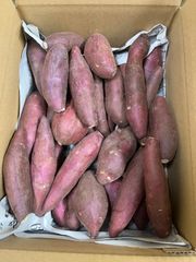 シルクスイート 15本 新鮮さつまいも苗 無農薬 - メルカリ
