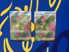 ポケモンカード ナタネの活気  SAR