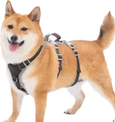 Huntboo 犬 ハーネス 小型犬 中型犬 大型犬 犬用ハーネス 犬用胴輪 抜けない 脱出防止 ハンドル サイズ調整可能 夜間反射 簡単着脱 ソフト 防水 散歩 トレーニング（XL、ブラック）