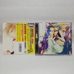 DJ SHARPNEL Endless Summer プレス盤 - メルカリ