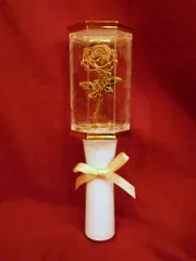 Sexy Zone 21年SZ10TH オリジナルペンライト