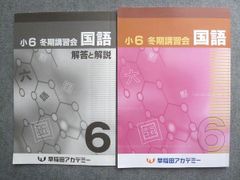 早稲田アカデミー 小6 冬期講習 国語 算数 理科 社会 4冊セット 2024年