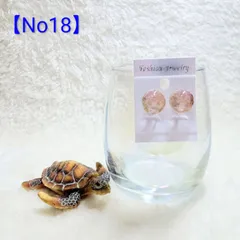 【No18】 海 珊瑚砂 イヤリング 樹脂パーツ(金属アレルギー対応)