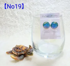 【No19】 海 珊瑚砂 イヤリング 樹脂パーツ(金属アレルギー対応)