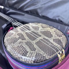 Item thumbnail for item 89b9ed8c-ca2e-4781-9ef8-b352c3435abe