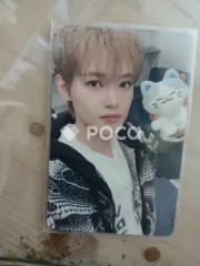 NCT チョンロ NCT DREAM ドリミーズ ぬいぐるみ