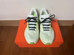 ナイキ ペガサス 41 270mm