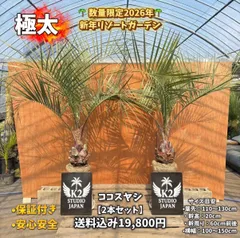 2026年最新】ココスヤシ シルバーリーフの人気アイテム - メルカリ