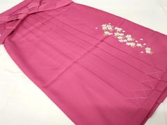 Item thumbnail for item d4524d00-5752-43d8-90bd-041490eef77d