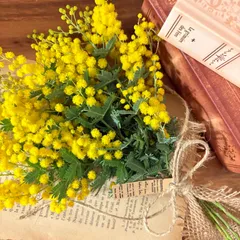 ◆ミモザ　スワッグ　ドライフラワー　ブーケ　花束　インテリア雑貨A