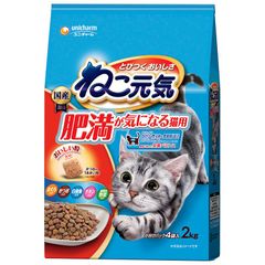 Leonardo Kitten GF 2kg 2袋セット - メルカリ