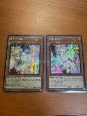 YOUHEE) Haru UraRa Chic 2種 まとめ