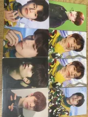 Stray Kids(ストレイキッズ・スキズ・SKZ) スンミン(SEUNGMIN) DICON トレカ まとめ売り