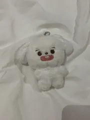 NCT(エヌシーティー) 127 ジョンウ(JUNG WOO) キム・ボクチル ぬいぐるみ