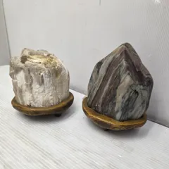 2026年最新】木化石の人気アイテム - メルカリ