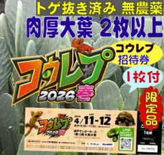 ⚡コウレプ招待券1枚付き⚡ウチワサボテン大葉2枚以上◆トゲ抜き済 リクガメの食事