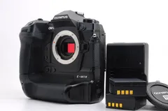 2026年最新】Olympus om-d e-m1xの人気アイテム - メルカリ