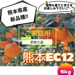 2026年最新】熊本EC12の人気アイテム - メルカリ