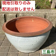 2026年最新】睡蓮鉢 大型の人気アイテム - メルカリ