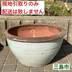 2026年最新】睡蓮鉢 引き取りの人気アイテム - メルカリ