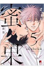 DVD／昭和の名作ライブラリー 第146集 竹脇無我主演 検事霧島三郎 密告