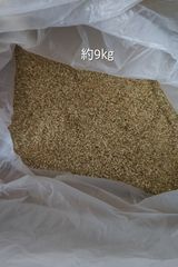 令和7年】くず米玄米30kg○色選落ち米玄○古 代米（赤米）、酒米