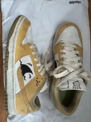 ナイキ ダンクロー レトロ SE NEXT ネイチャー