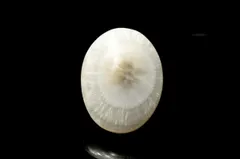 【１点物】天然沸石◇天眼模様 トムソナイト(沸石)　19x15mm　オーバル ルース パワーストーン 天然石 _PC9540