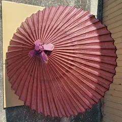 2026年最新】羽二重傘の人気アイテム - メルカリ