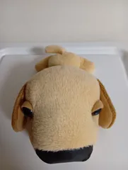 犬のぬいぐるみ ベージュ