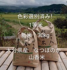 新米10kg】大分県産 ひのひかり 山香米 1等米 - メルカリ