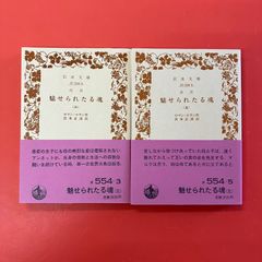 ☆写真多数☆ テンニエス『ゲマインシャフトとゲゼルシャフト』 上 下