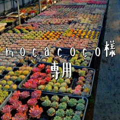 mocacoco様専用