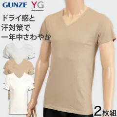 グンゼ インナー メンズ 半袖 速乾 防臭 Vネック tシャツ インナーシャツ 2枚組 M～LL YG 下着 男性 紳士 肌着 V首 吸汗速乾 M L LL
