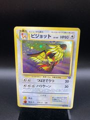 ARS10 わるいギャラドス ギャラドス レアホロ Rare Holo 旧裏 旧裏面